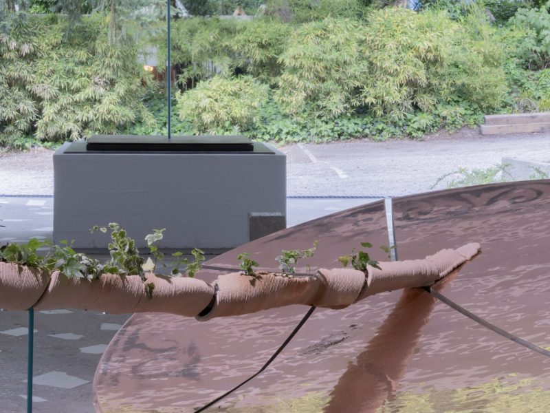 alcarol x SUNAKY Reflective Saucer 7