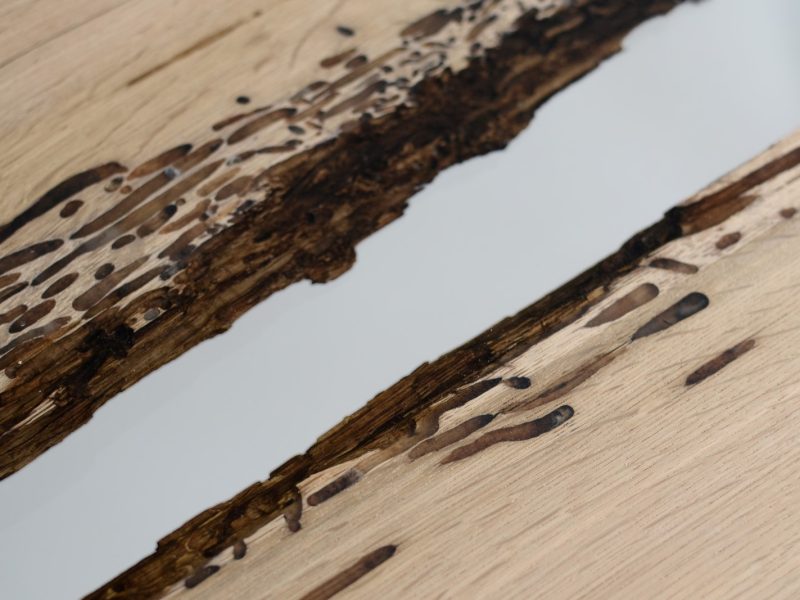 alcarol_Bent River console 13