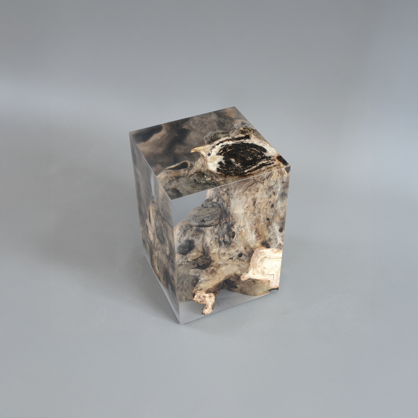 alcarol_Fungi Stool Poplar 2