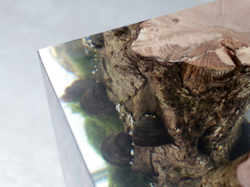 alcarol_Moss Lamp_06