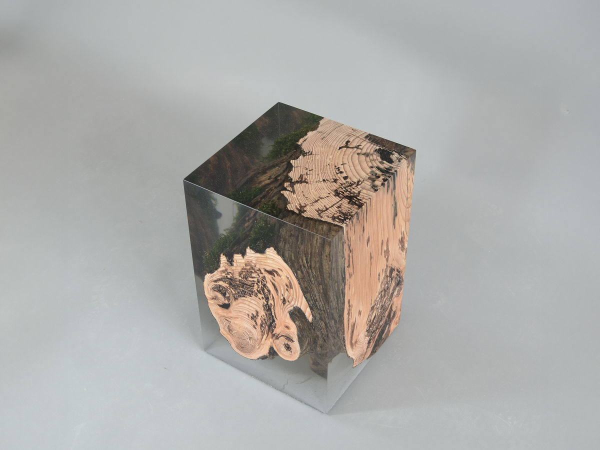 alcarol_Stump Stool Larch 4