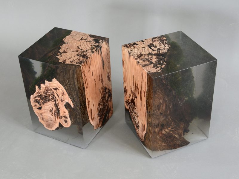 alcarol_Stump Stool Larch 6
