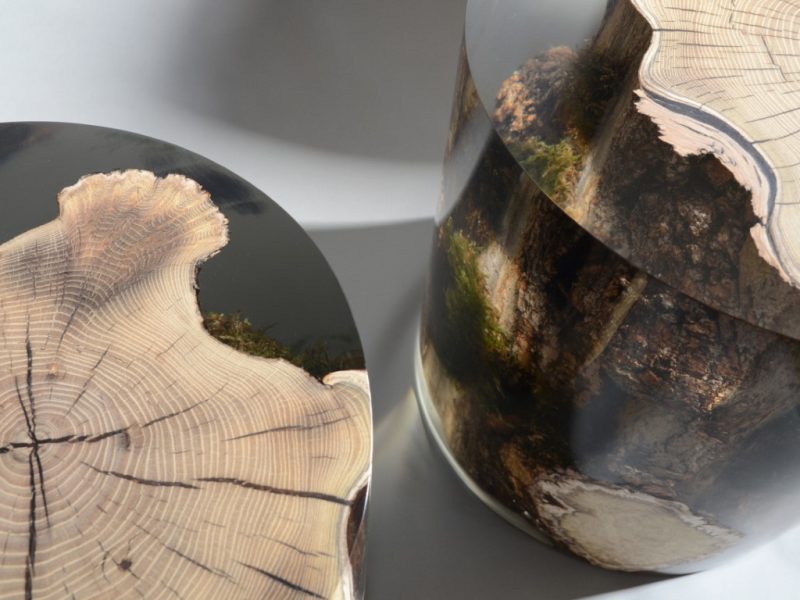 alcarol_Surfacing Stump_06