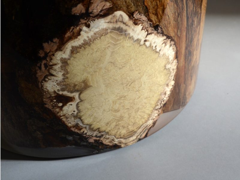 alcarol_Surfacing Stump_08