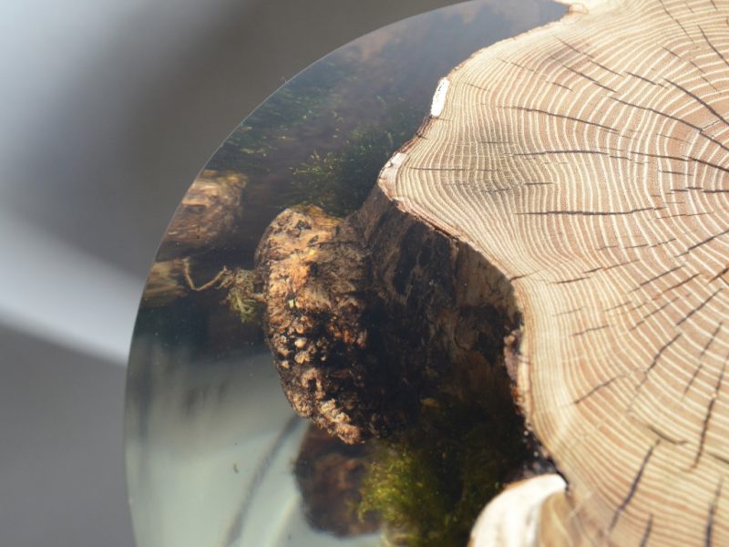 alcarol_Surfacing Stump_09