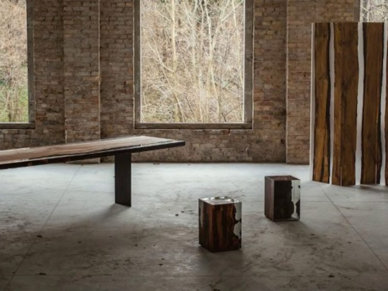 alcarol_ambient_fungi stool5