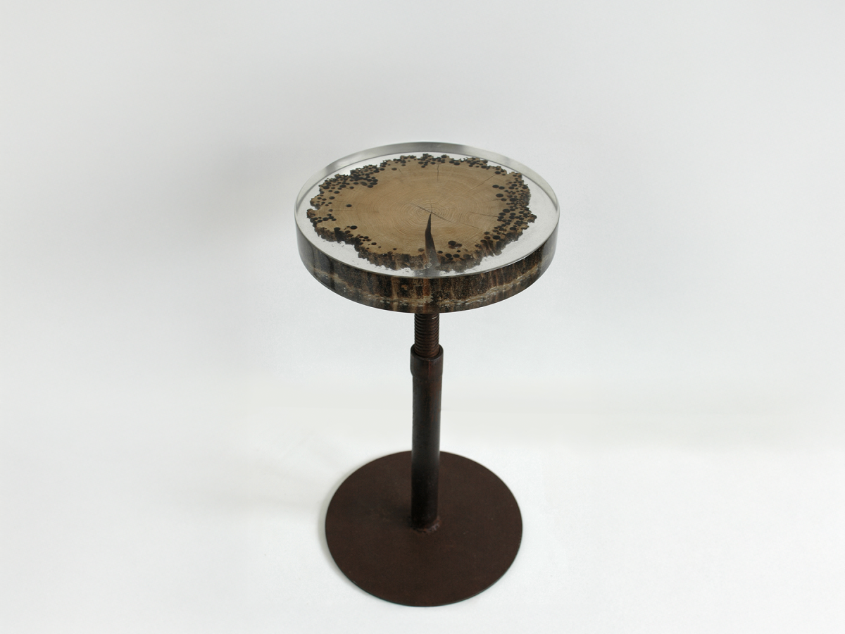 alcarol_mareale_03