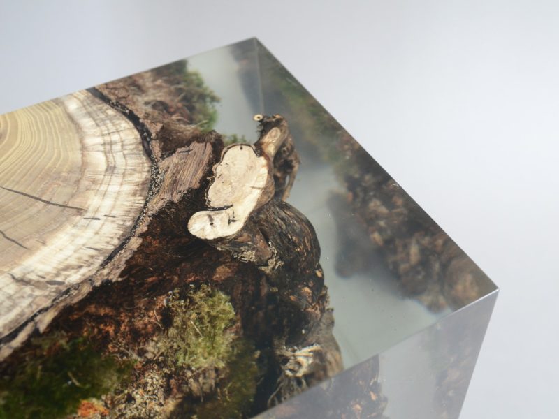 alcarol_stump stool mulberry_05