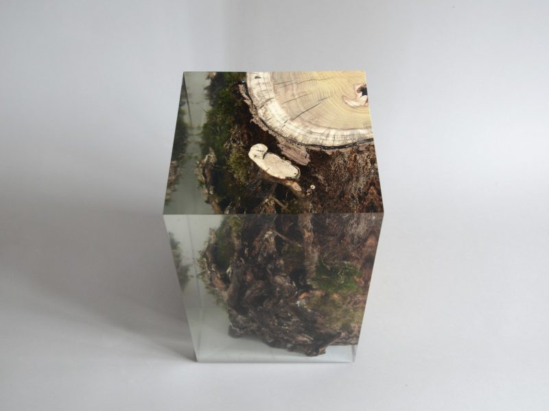 alcarol_stump stool mulberry_07