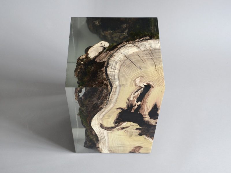 alcarol_stump stool mulberry_09