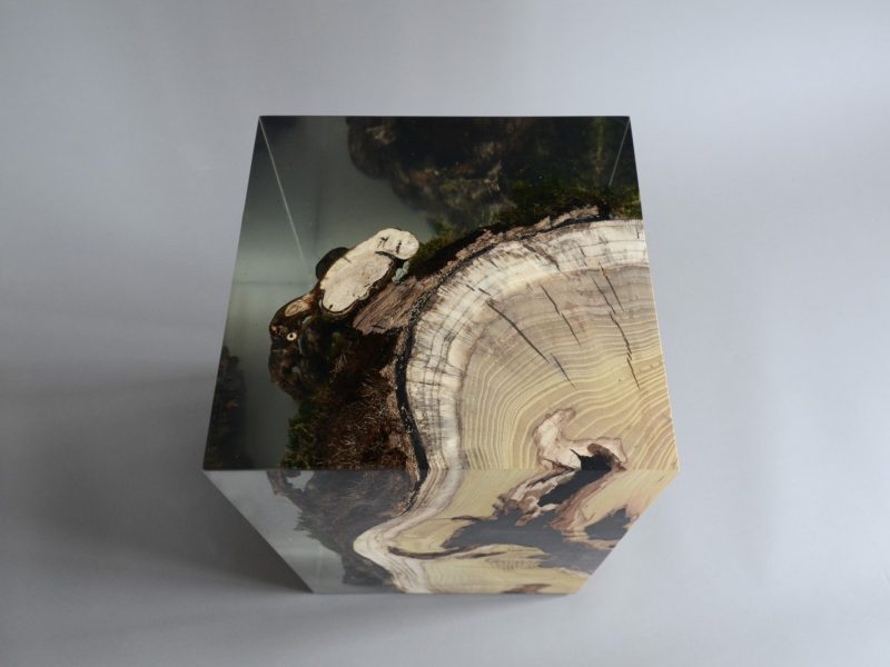 alcarol_stump stool mulberry_11