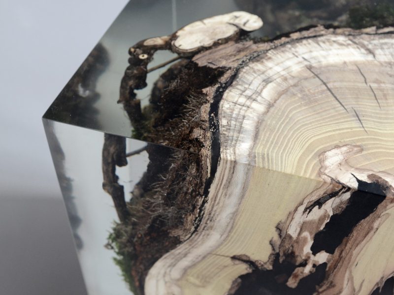 alcarol_stump stool mulberry_13