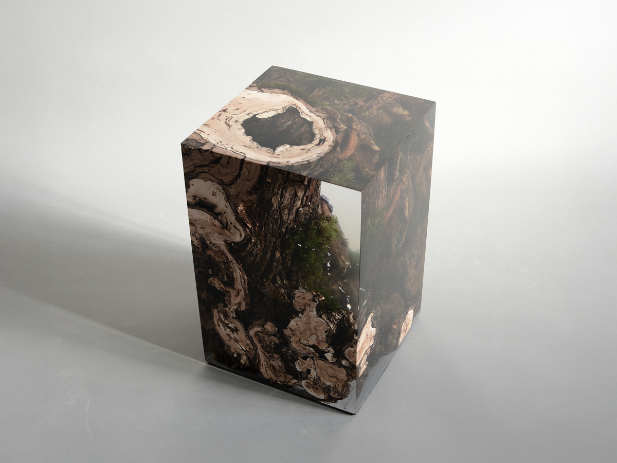 alcarol_stump stool-willow 2