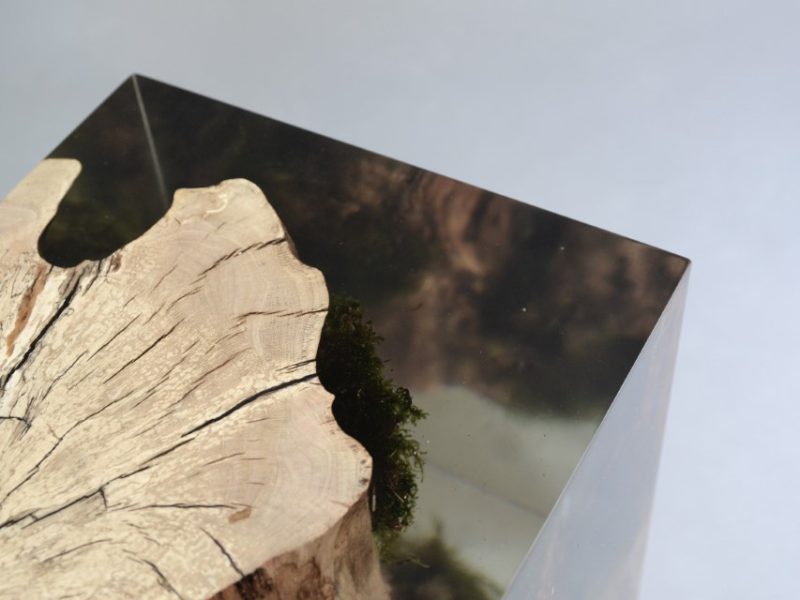 alcarol_stump stool_hornbeam_07