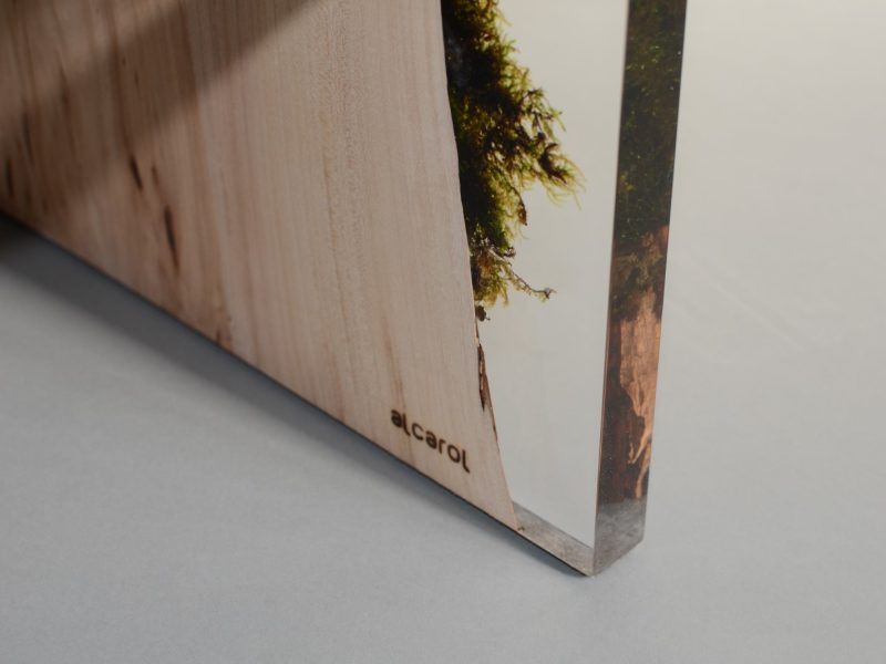 alcarol_trail coffee table 4