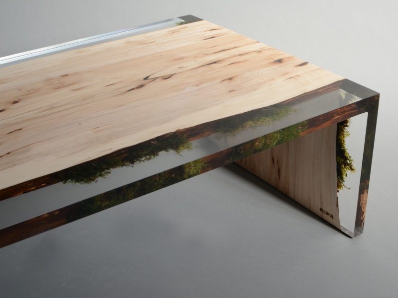alcarol_trail coffee table 5