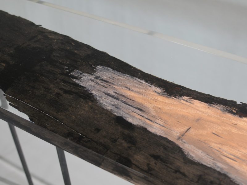 alcarol_wetland console_04