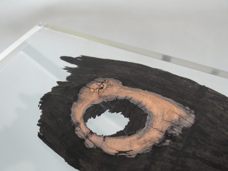 alcarol_wetland console_05