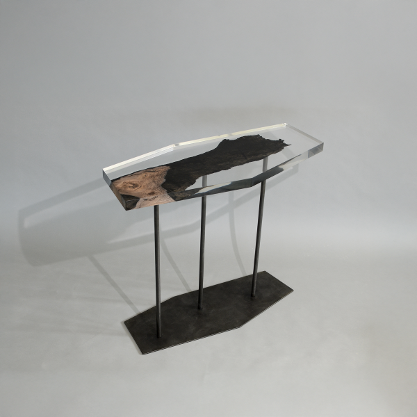 alcarol_wetland fragment_02