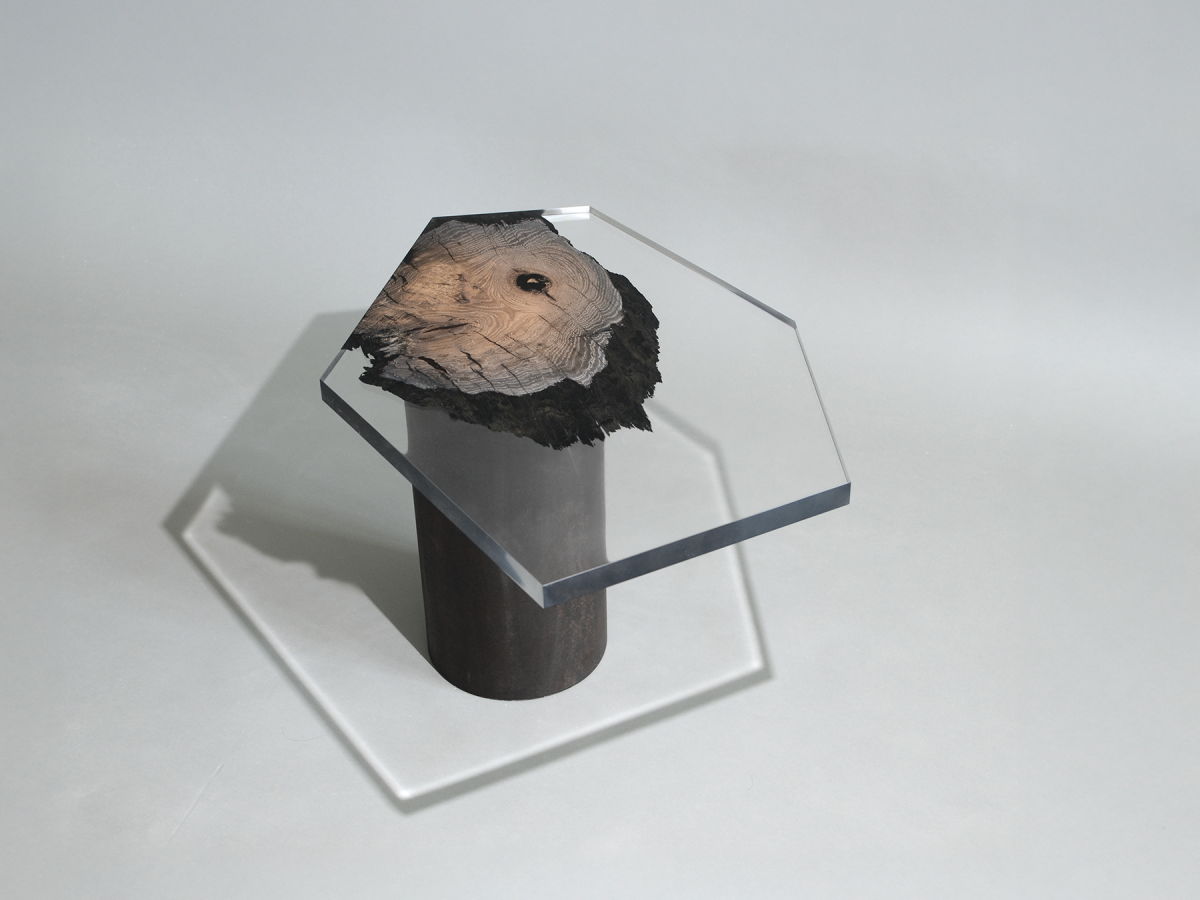 alcarol_wetland low table_01