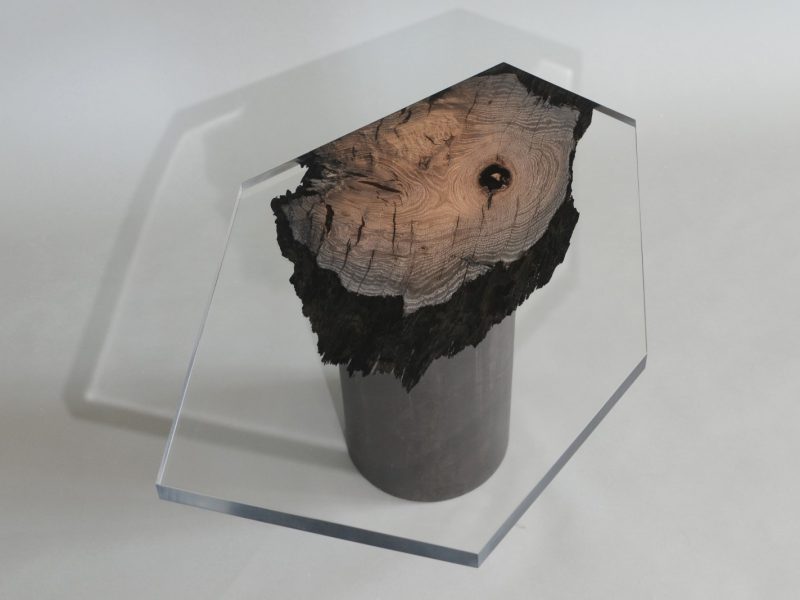 alcarol_wetland low table_03