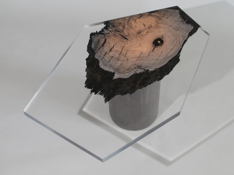 alcarol_wetland low table_05