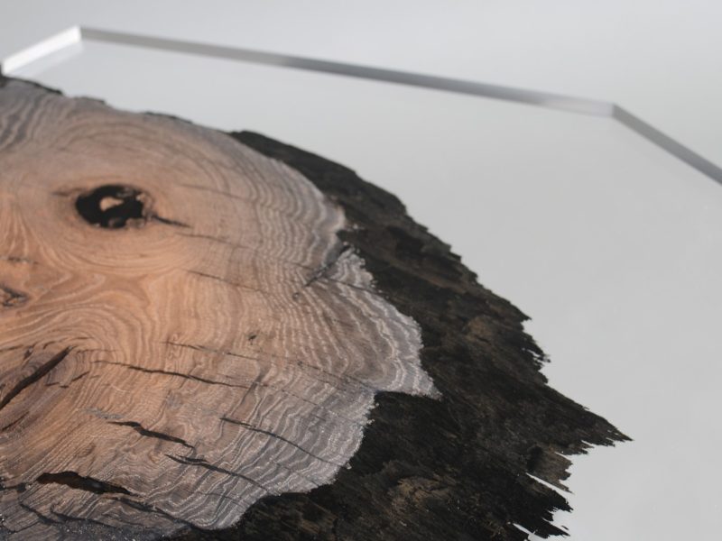 alcarol_wetland low table_06