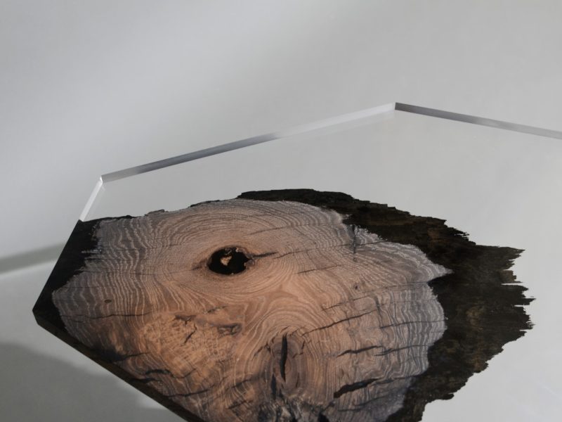 alcarol_wetland low table_07