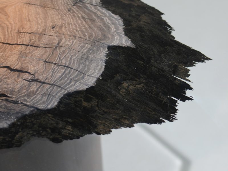 alcarol_wetland low table_08