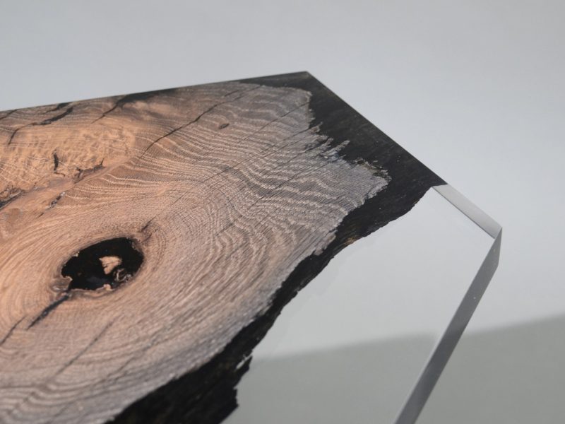 alcarol_wetland low table_09