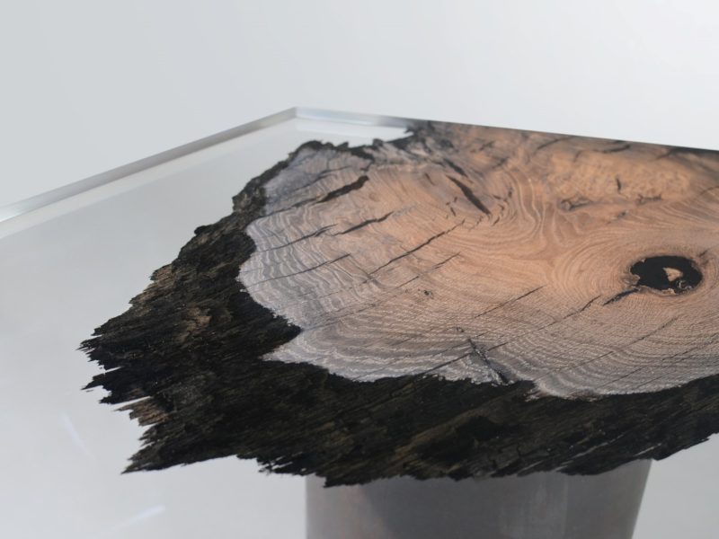 alcarol_wetland low table_10